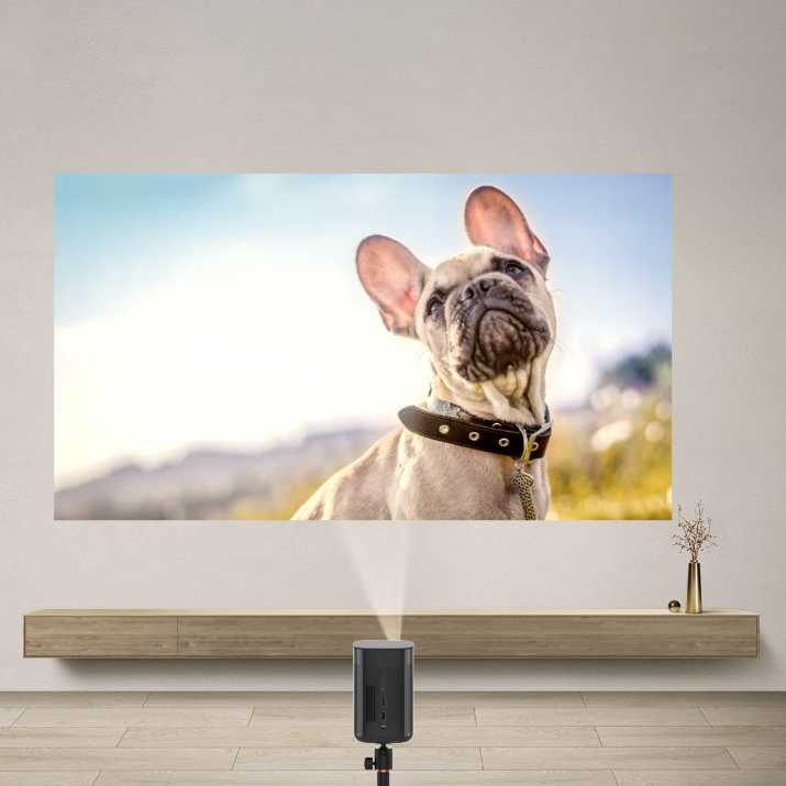 Enjoy the Entertainment with Portable Smart Mini Projector