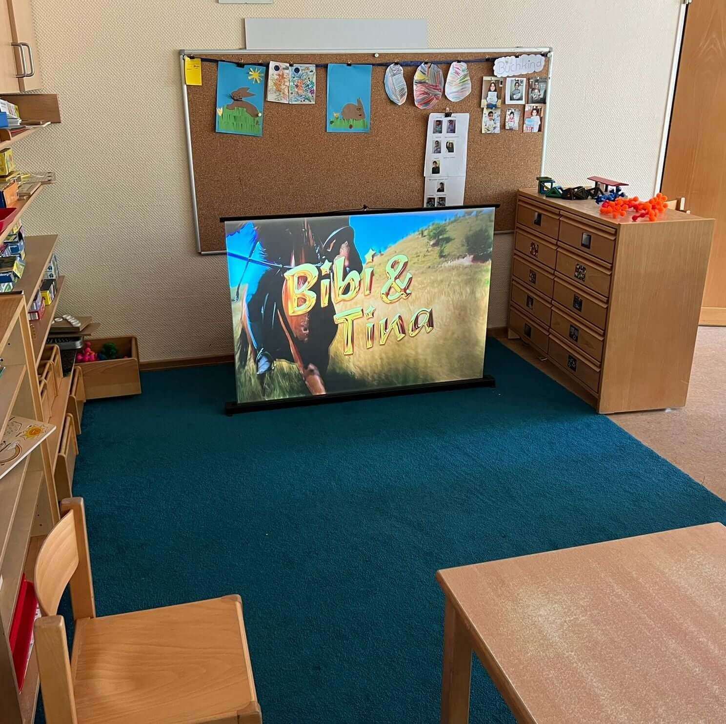 indoor projector screen