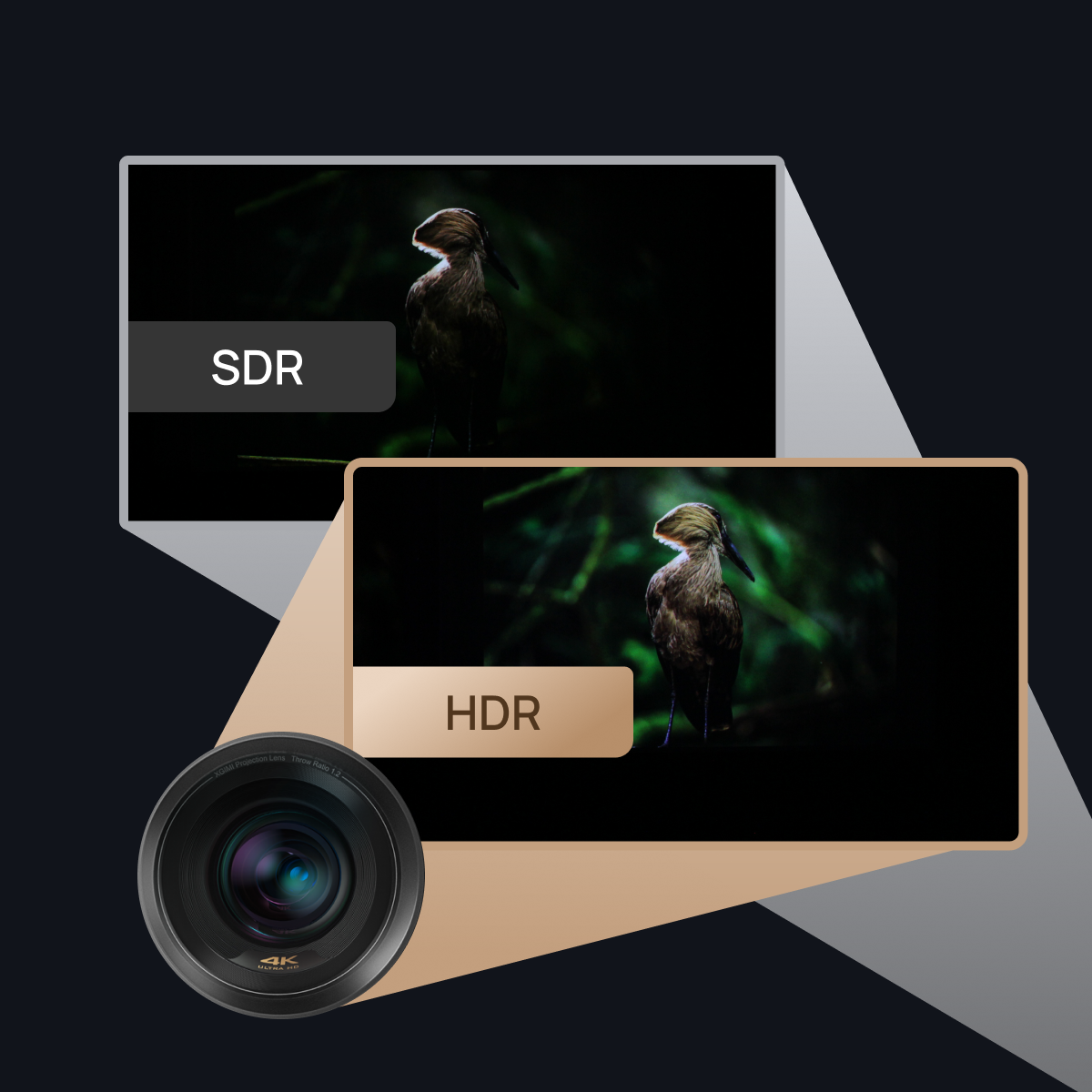 What Can HDR Do for Your Projector