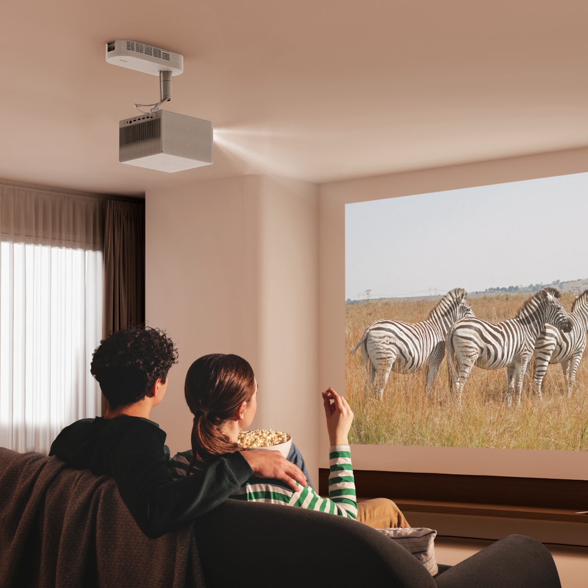 Projector Setup and Installation Options