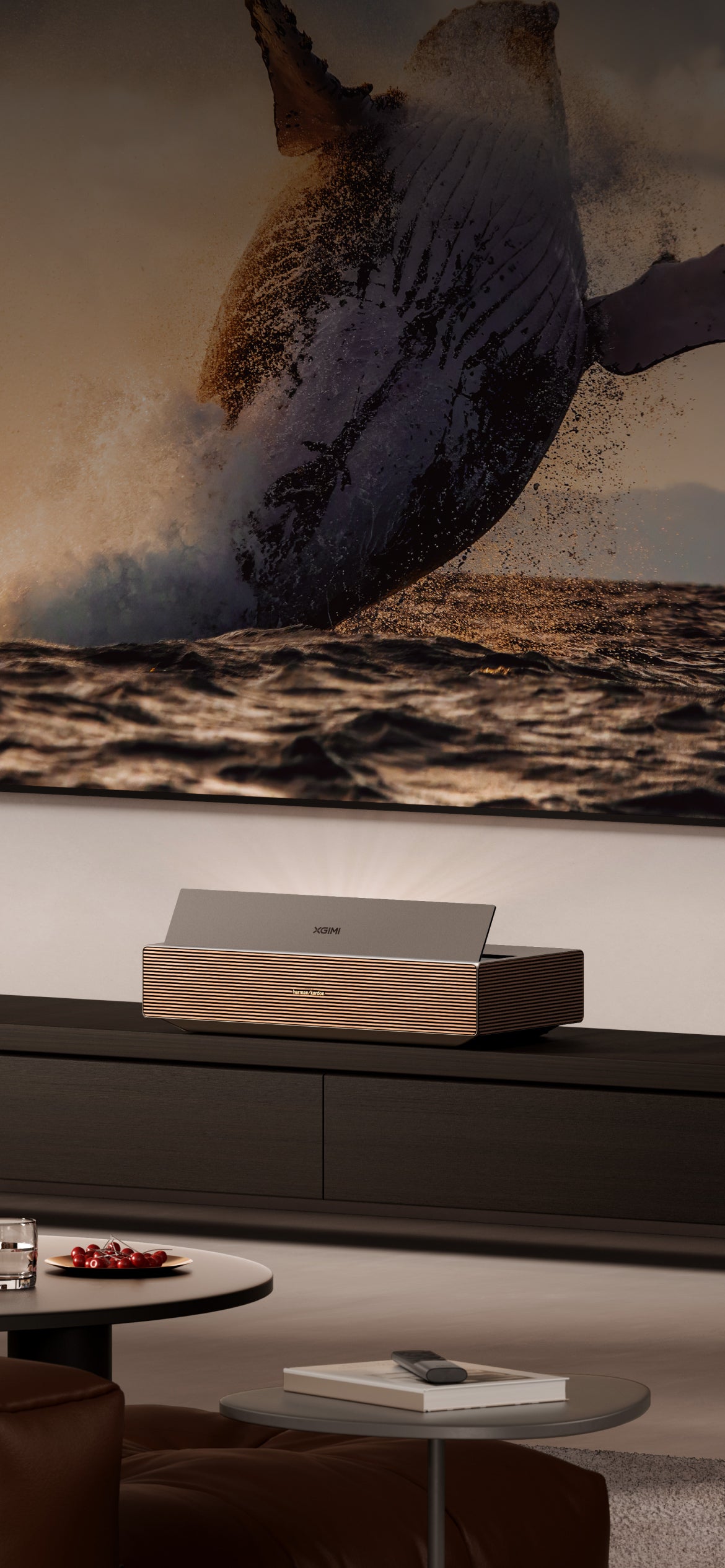 Best 4K Home, Laser & Portable Projectors | XGIMI Projector